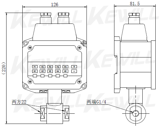 PE60B 差壓控制器